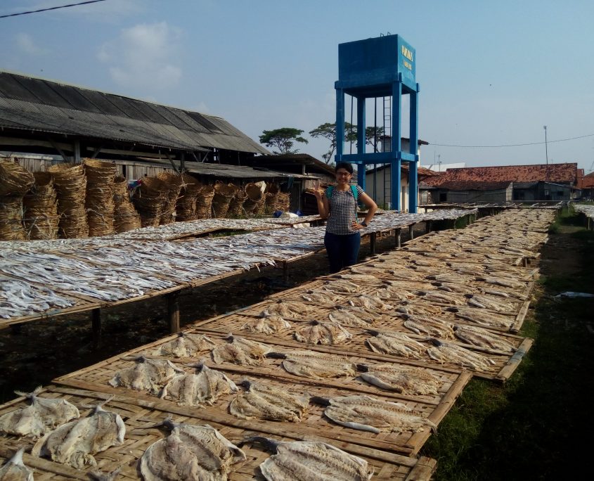 in the midle of ikan asin (2)